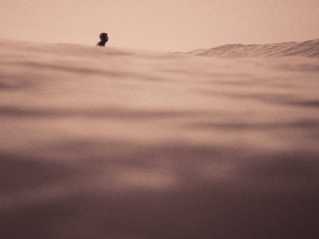 A swimmer in wide golden water at sunset